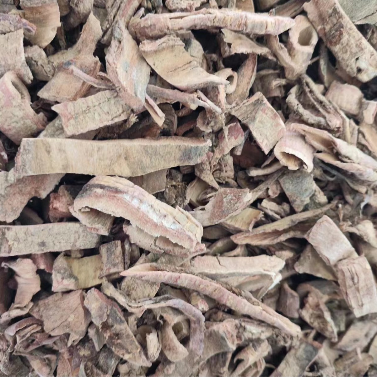 Tu Jin Pi (Pseudolarix amabilis) — Dried Traditional Herb Bark, 500g - Image 2