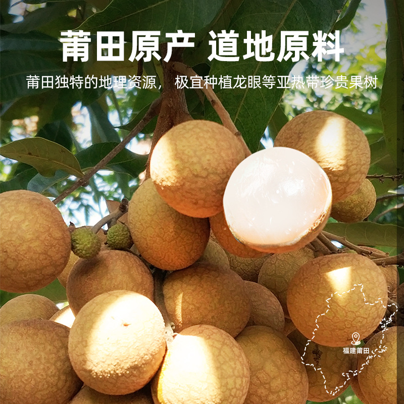 Dried Longan Flesh 500g Jar Pitted Ready to Eat Fujian Longan Dried Fruit for Tea and Soup - Image 2