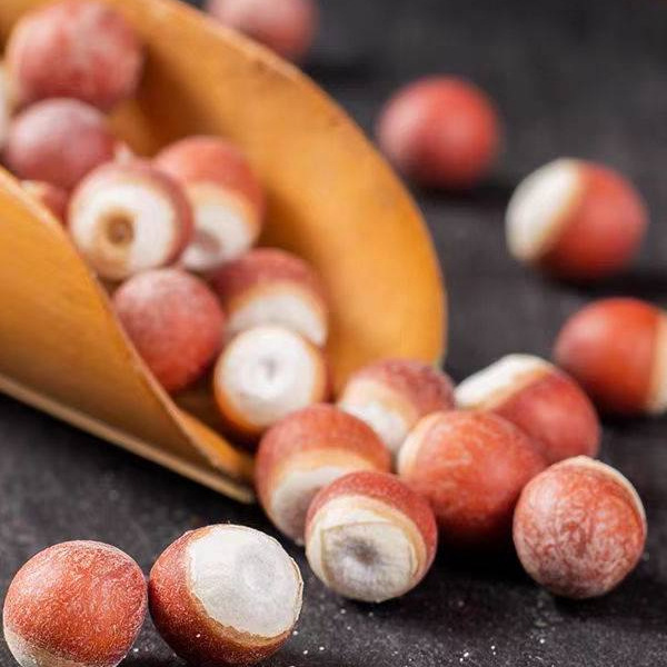 Dried Gorgon Fruit Qian Shi 500g Whole Euryale Seeds for Tea Soup and Congee - Image 4