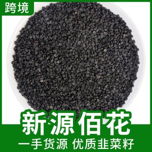 Jiu Cai Zi (Allium tuberosum) — Roasted Chive Seeds, Food-Herb for Tea & Powder