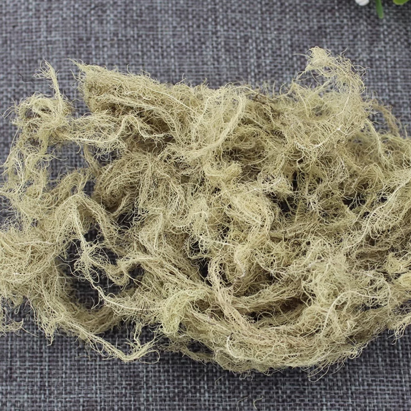Yun Wu Cao (Usnea longissima) — Dried Old Man's Beard Lichen, 500g Food Herb - Image 4
