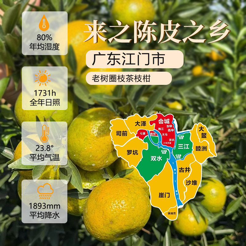 Xinhui Aged Dried Tangerine Peel Chen Pi 10 Year Sun Dried Citrus Peel Tea 50g Sample Pack - Image 4