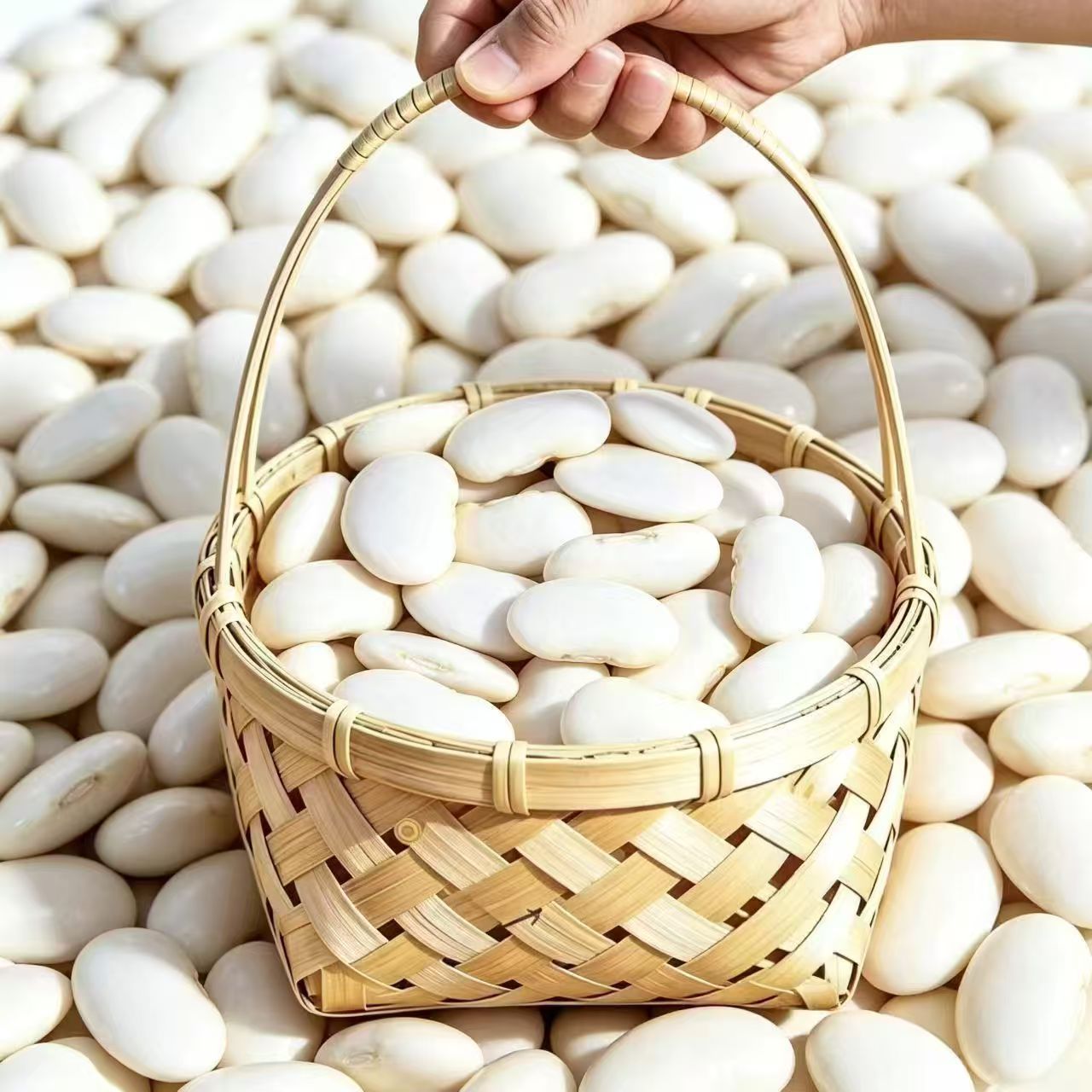 White Kidney Beans Bai Yun Dou 500g Dried White Beans Yunnan Natural Sun Dried Culinary Grain - Image 4