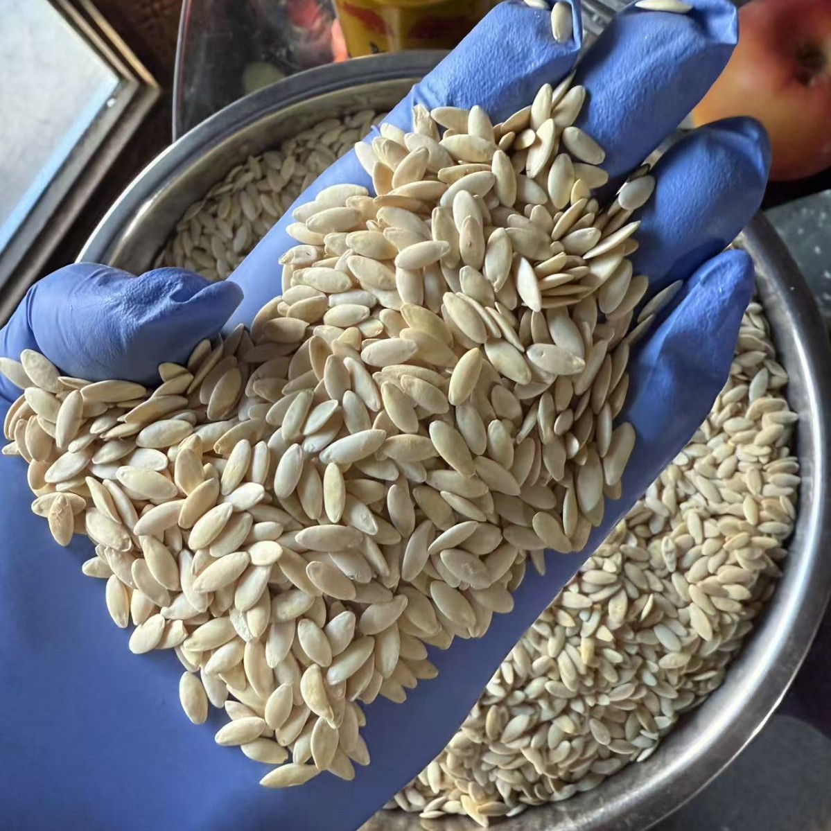Dried Cucumber Seeds Northeast China New Crop Premium Grade 1 Jin Retail Wholesale - Image 4