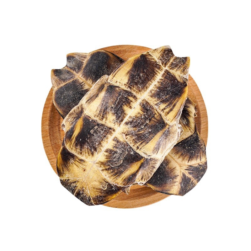 Gui Ban (Plastrum Testudinis) — Dried Turtle Shell Herb for Decoction & Soup - Image 5