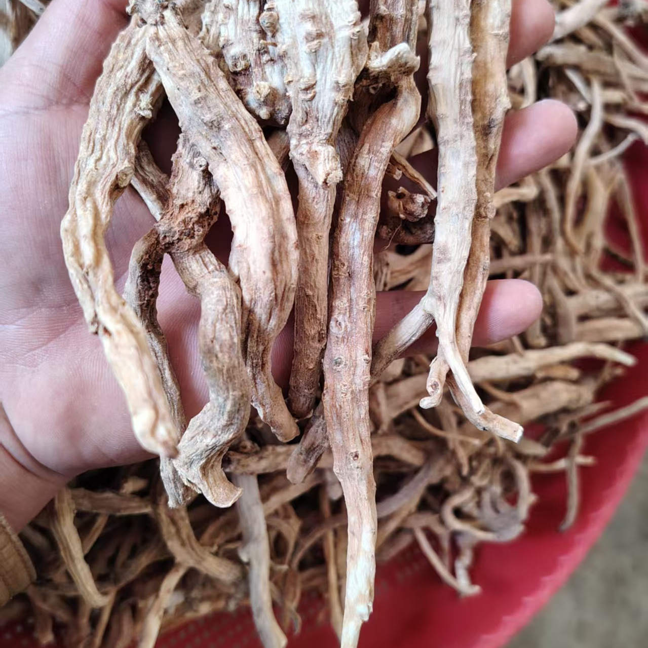 Tu Dang Shen Roots (Codonopsis pilosula var. handeliana) — Sun-Dried Food Herb for Tonic Soups & Herbal Wine - Image 3