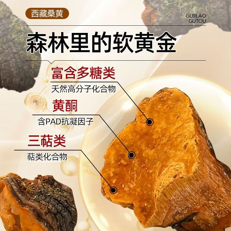 Sang Huang Mulberry Yellow Fungus Sliced 100g Bag Traditional Herbal Wellness for Middle Aged and Older Adults - Image 4