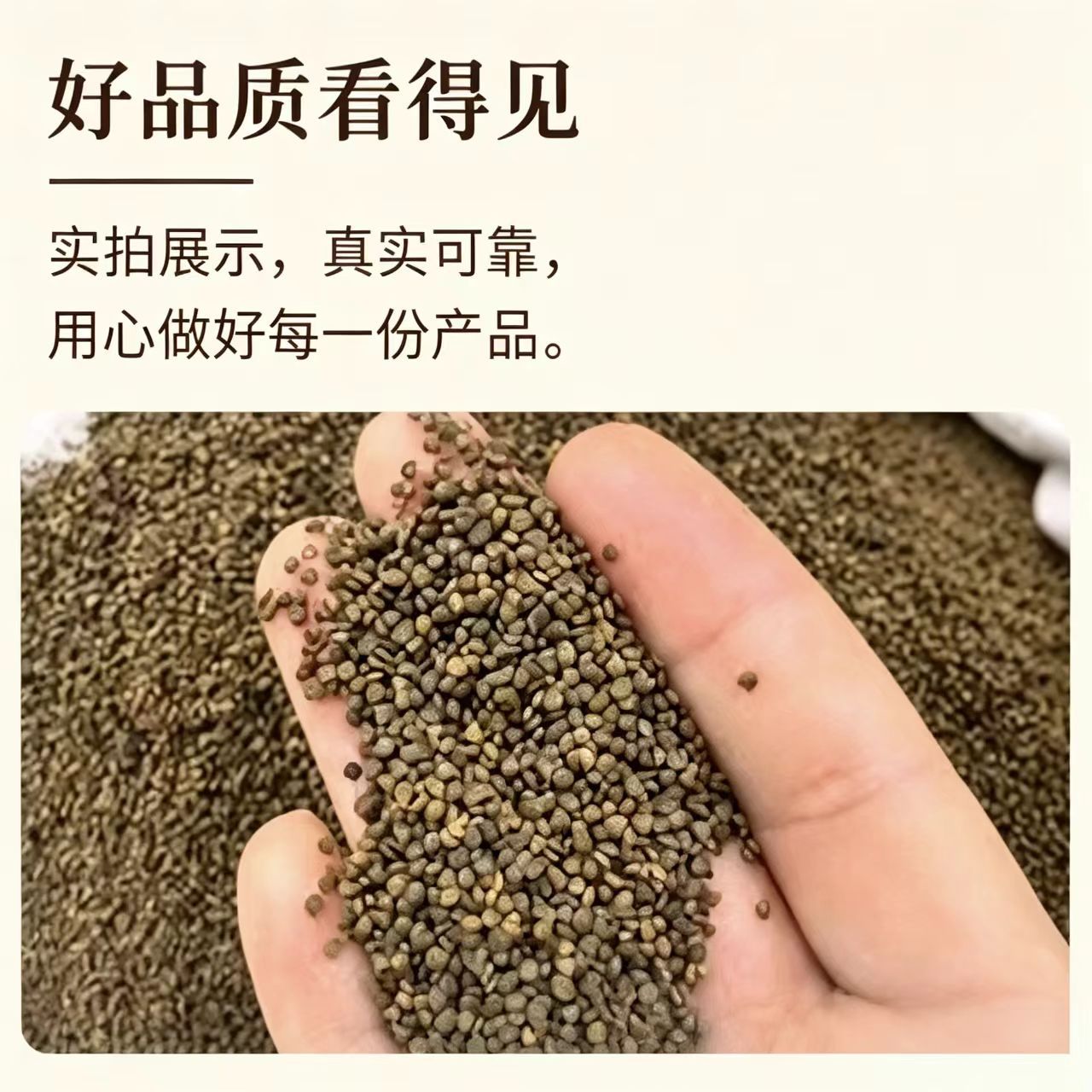 Sha Yuan Zi Dried Flatstem Milkvetch Seeds 1000g Bag Traditional Chinese Herb for Cooking and Decoction - Image 3