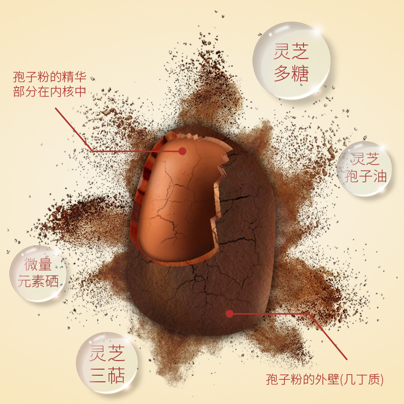 Organic Changbai Mountain Reishi Mushroom Spore Powder Gift Box 250g Lingzhi Spore Powder for Wellness - Image 2