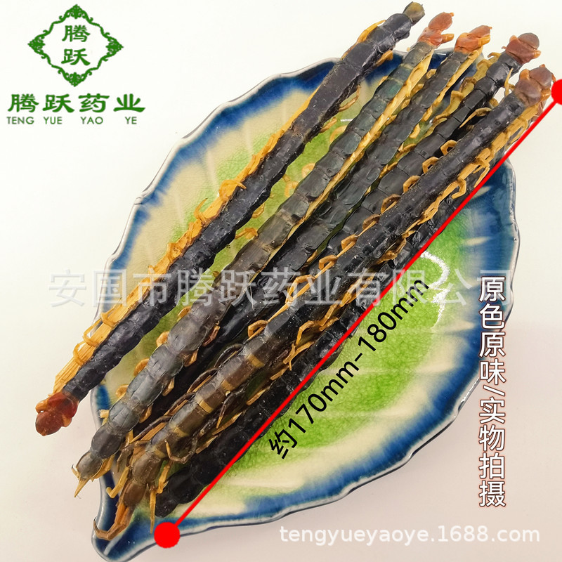Dried Whole Centipede Wu Gong 500g Chinese Herbal Material Scolopendra Subspinipes Mutilans - Image 2