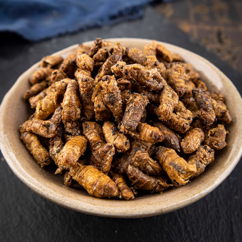 Dried Male Silkworm Moth Bombyx Mori 500g Traditional TCM Herb for Wine Infusion - Image 2