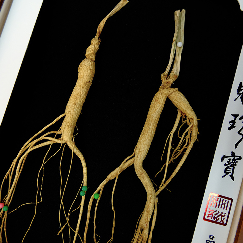 Wild-Simulated Ginseng Gift Box Dried Root for Tea and Soup Jilin Northeast Specialty - Image 4