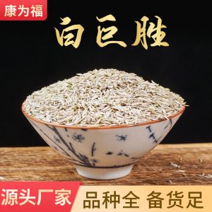 Bai Ju Sheng Seeds (Lactuca sativa) — Dried Food-Herb Seed for Tea, Decoction & Cooking