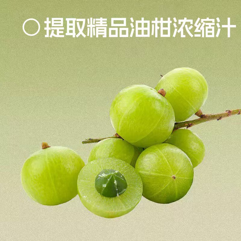Guava Lotus Leaf Amla Concentrated Juice 210ml Boxed Herbal Fruit Drink - Image 4