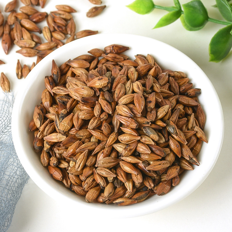 Roasted Barley Tea (Hordeum vulgare) — Low-Temperature Slow-Roasted Herbal Tea, 500g Loose - Image 3