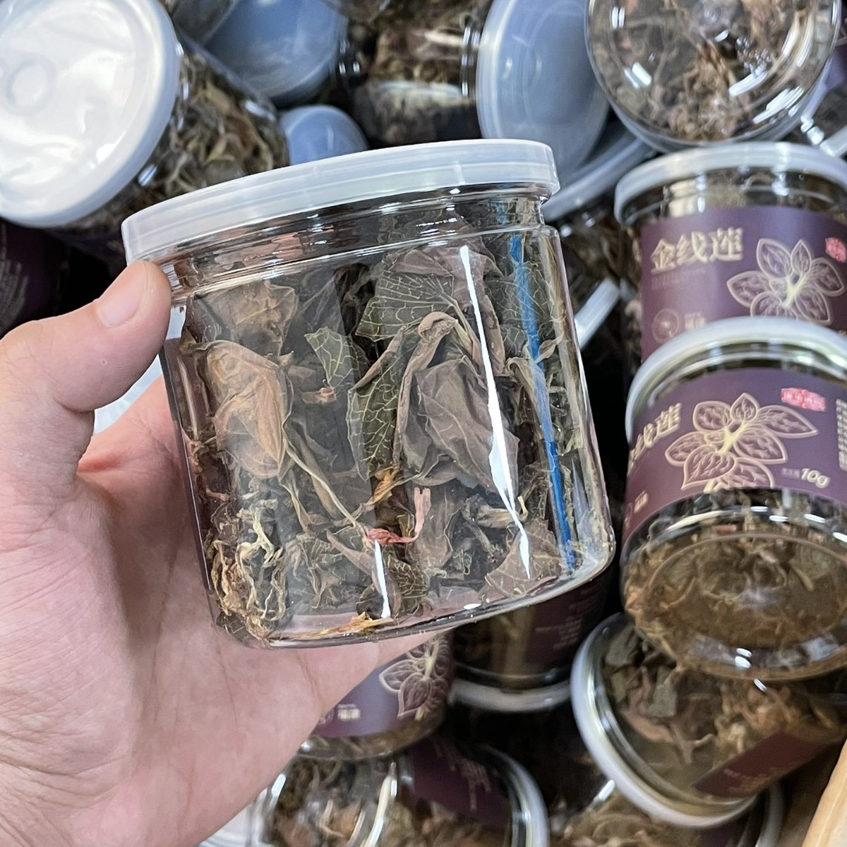 Dried Whole Jin Xian Lian Herb Fujian Origin 10g Jar for Cooking and Soup - Image 2