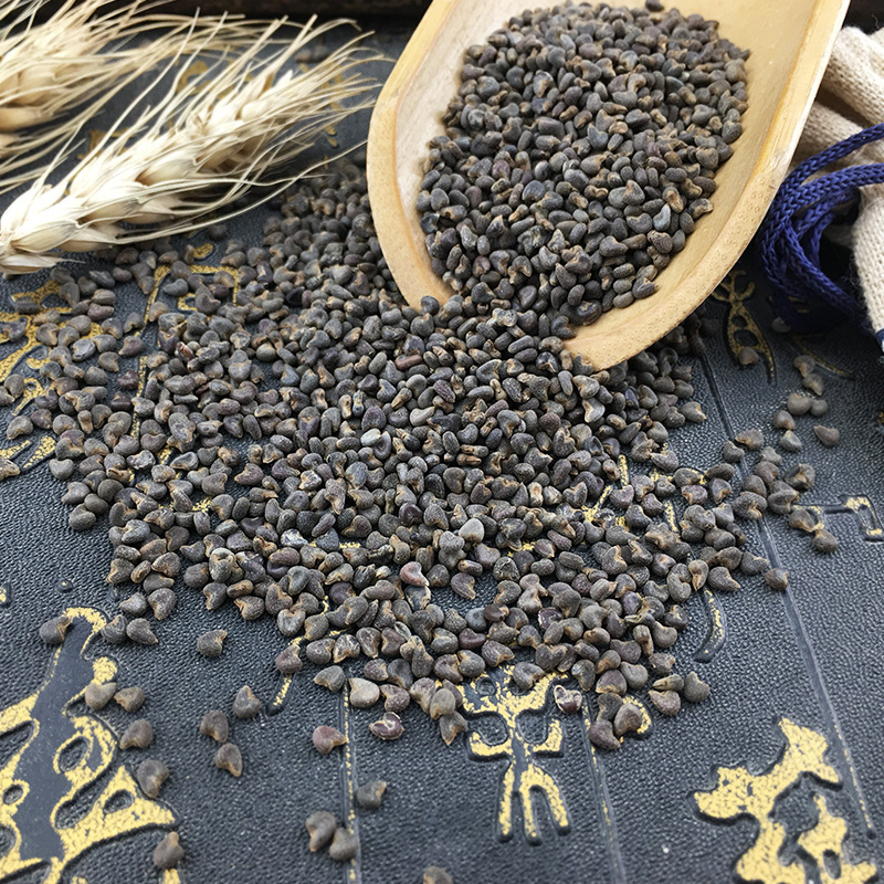 Dried Malva Seeds Dong Kui Zi 500g Bulk Traditional Chinese Herb - Image 2