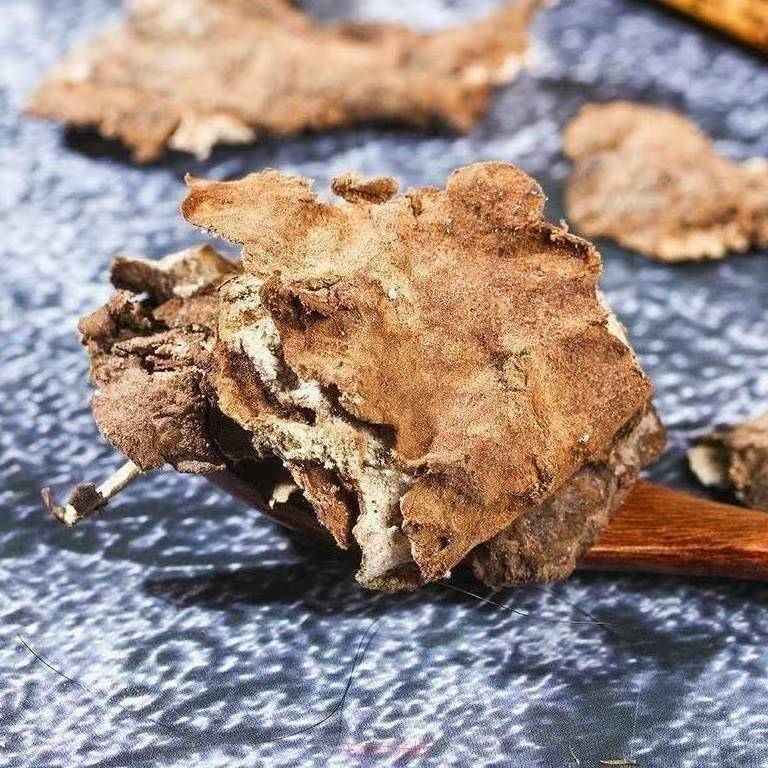 Fu Ling Pi (Poria cocos Peel) — Dried TCM Herb, Unsulfured, 500g - Image 4