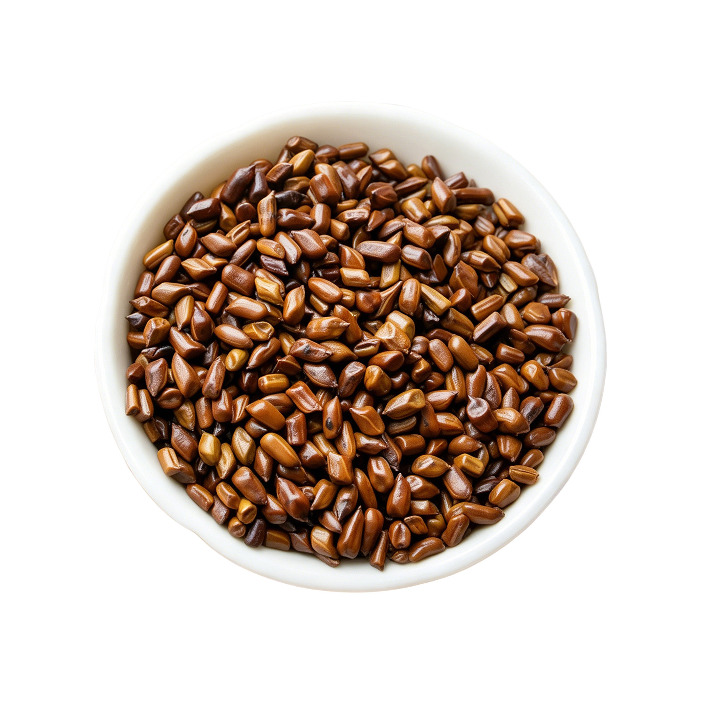 Cassia Seed Jue Ming Zi 决明子 Dried Whole Seeds for Tea and Decoction 500g Bulk Supply - Image 5