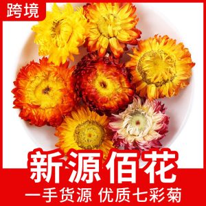 Rainbow Chrysanthemum Flower Heads (Chrysanthemum morifolium) — Dried Edible Floral Herb, 500g