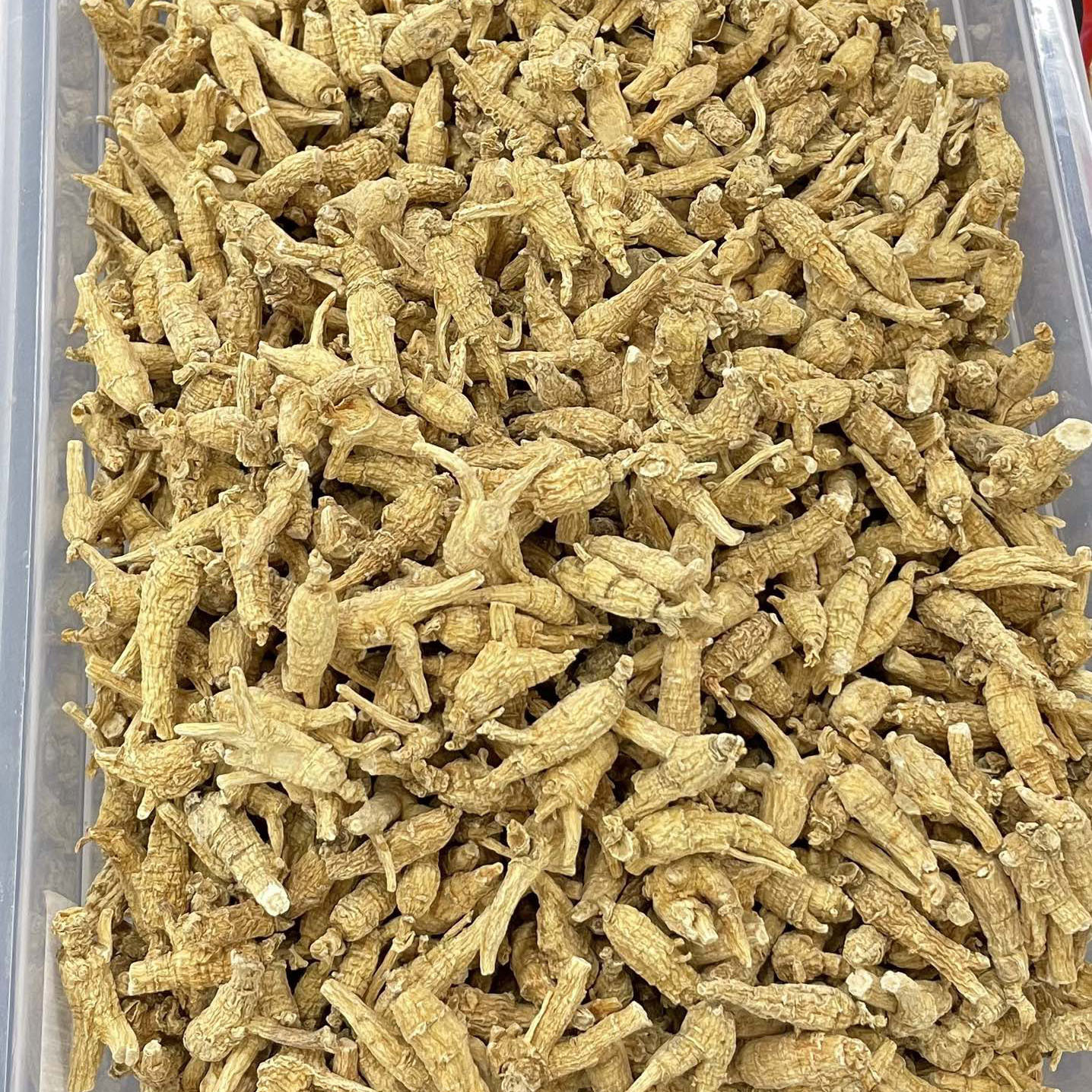 Canadian American Ginseng Hua Qi Shen 250g Whole Small Round Roots for Soup and Tea - Image 2