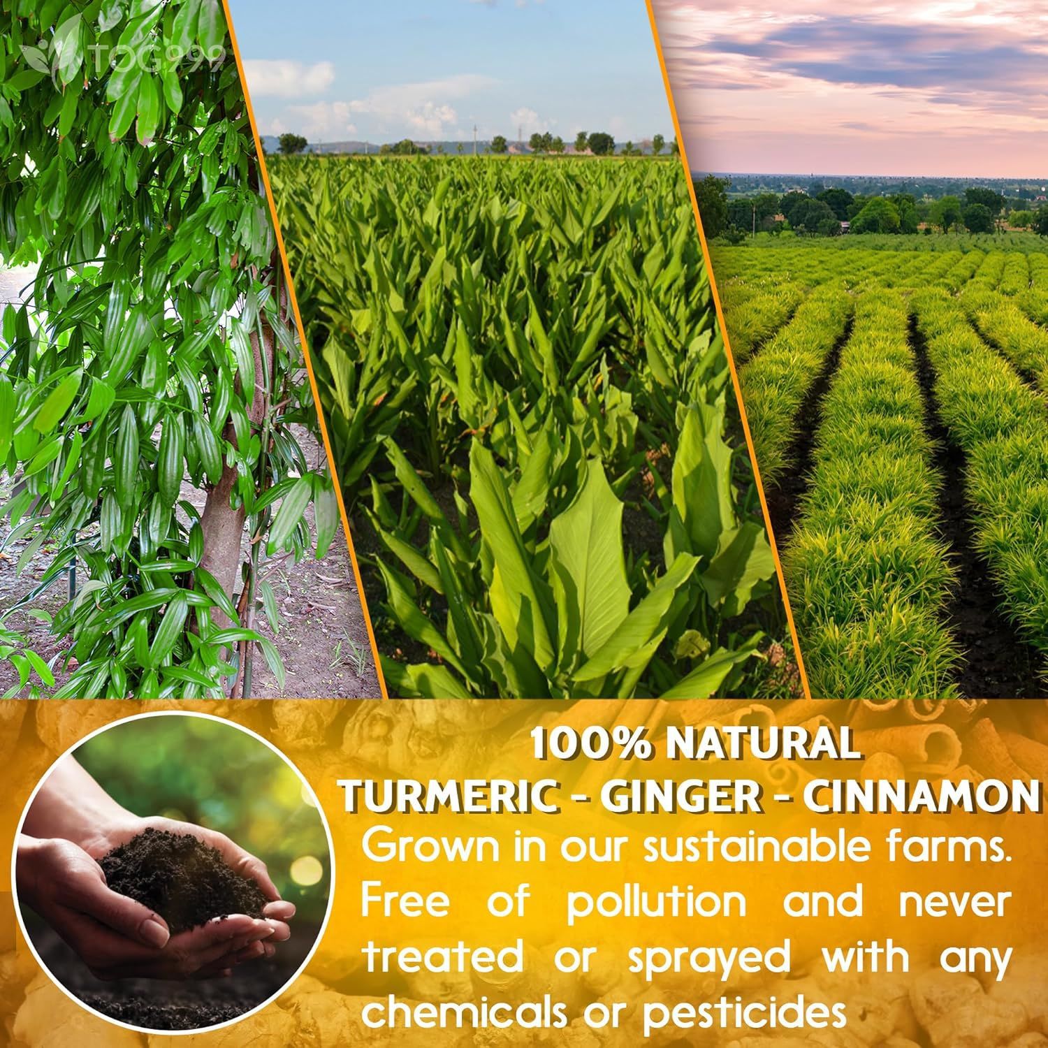 Turmeric Ginger Cinnamon Tea Bags 120 Bags Warming Herbal Blend for Daily Brewing - Image 4
