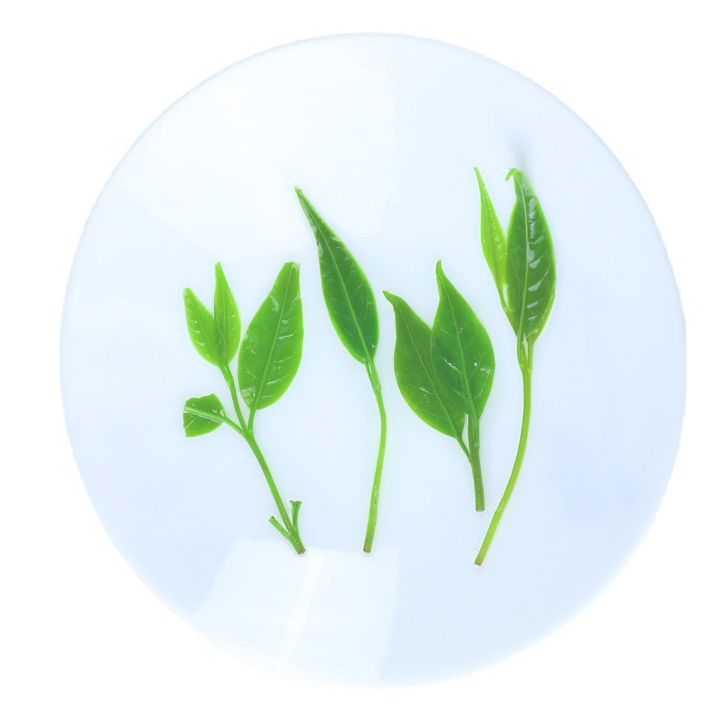 Xiao Ye Ku Ding Tea (Ligustrum robustum) — Early Spring Tender Bud Green Tea, 500g Loose Leaf - Image 5
