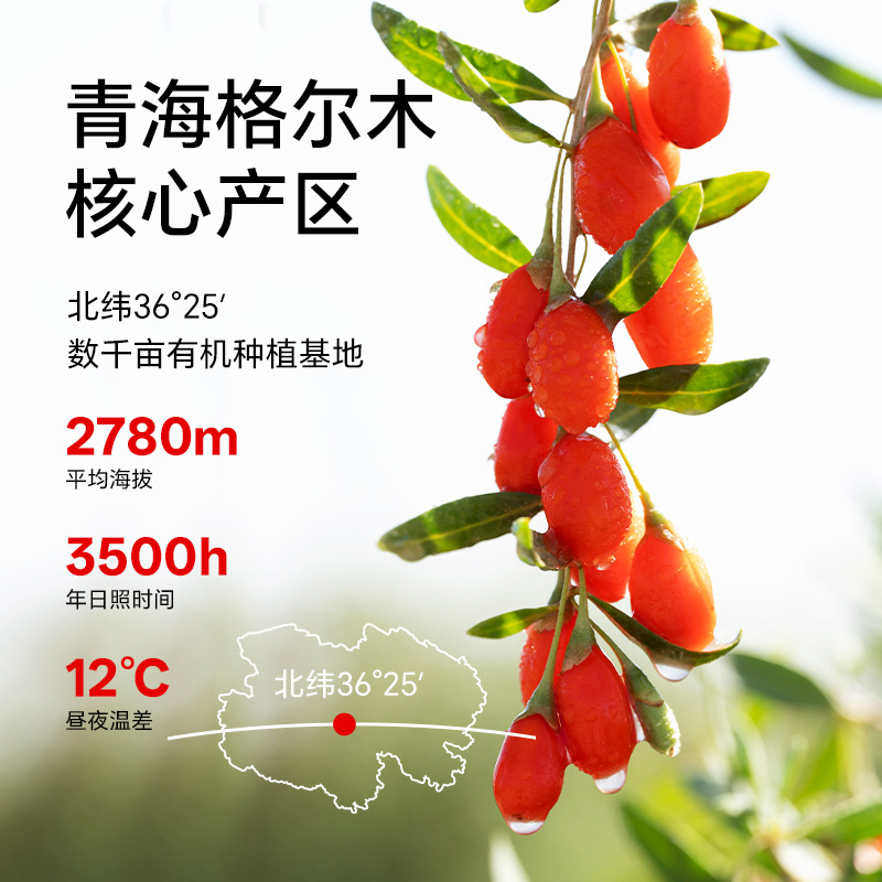 Organic Goji Berry Dried Fruit 240g Premium Grade Ready to Eat Resealable Pouch - Image 3