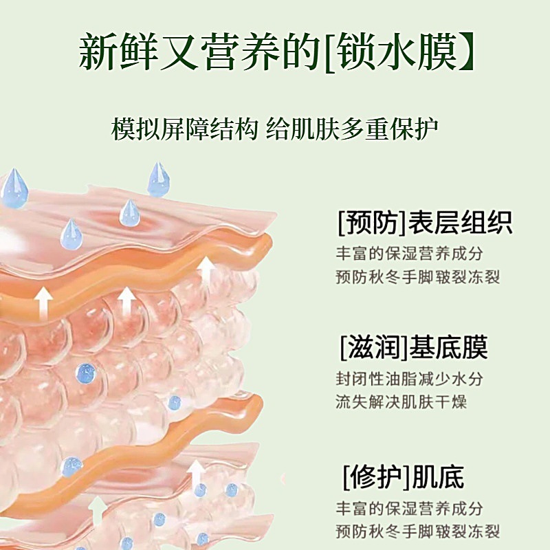 Horse Oil Cracked Skin Repair Tape Rolls Easy-Tear Herbal Adhesive Patches for Dry Cracked Hands and Feet 5 Rolls per Box - Image 2