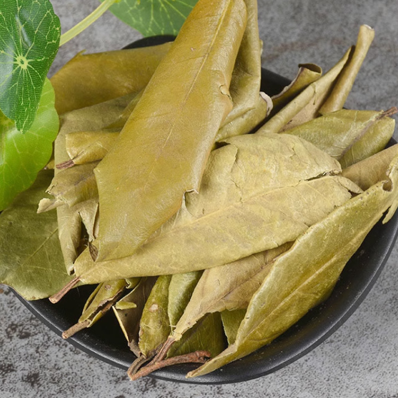Hu Tui Zi Ye (Elaeagnus pungens Leaf) — Dried TCM Herb Leaf, 500g - Image 2