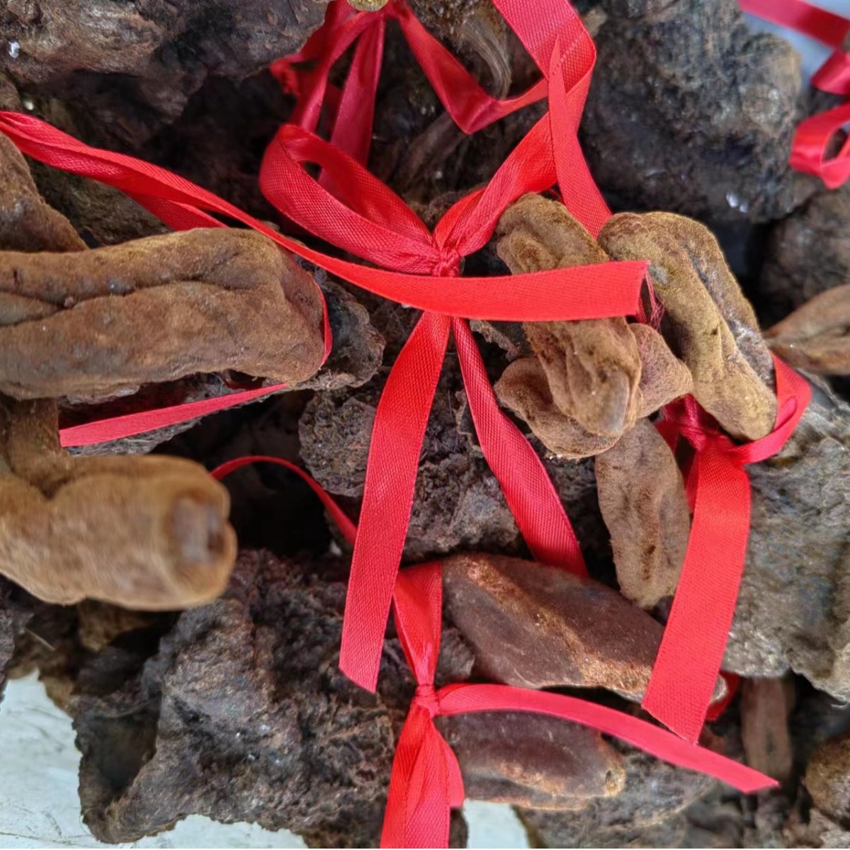 Xu Yang Cao (Ding Tian Zhu / Hui Chun Cao) — Dried Food Herb for Wine & Tea Infusion - Image 4