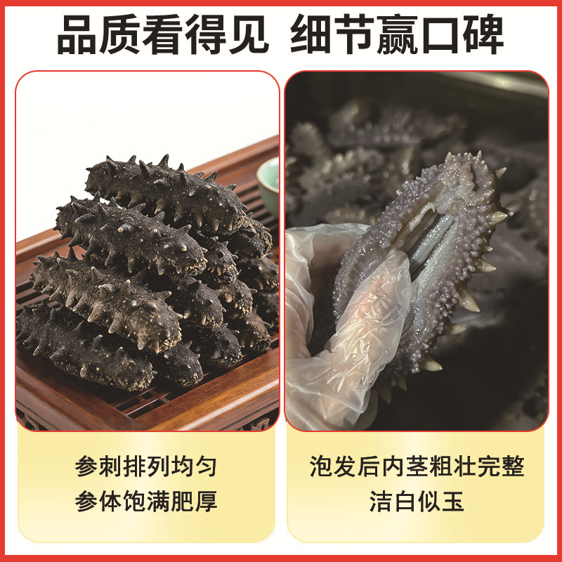 Ready to Eat Sea Cucumber Dalian Liaoning Frozen 500g Gift Box - Image 3
