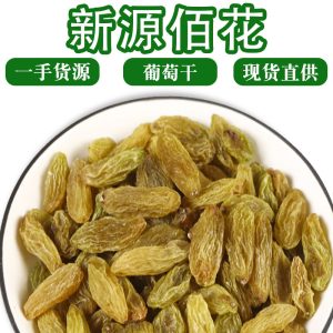 Raisins (Vitis vinifera) — Dried Seedless Grapes, Food-Herb Fruit for Teas, Congee & Tonics