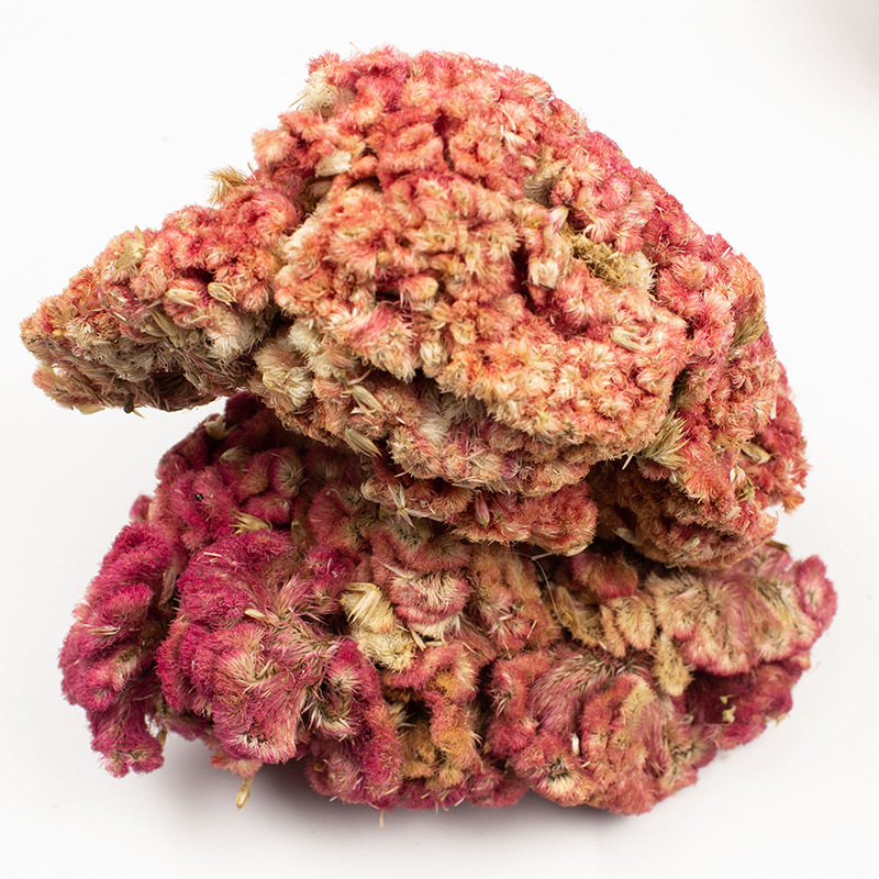Dried Cockscomb Flower Ji Guan Hua 鸡冠花 Celosia cristata Whole Herb 500g for Herbal Tea and Decoction - Image 5