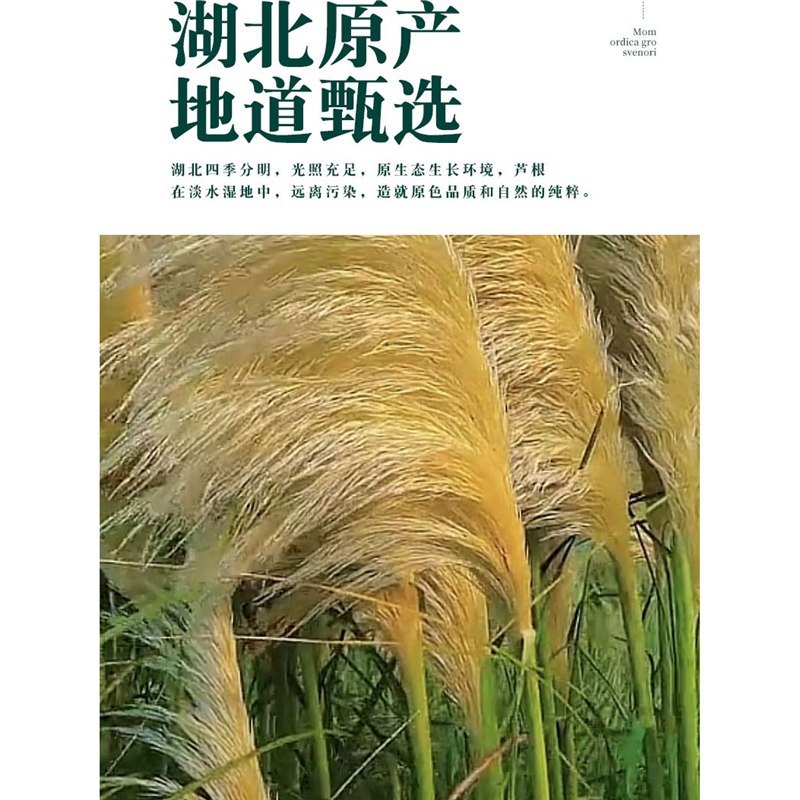 Dried Reed Rhizome Lu Gen 500g Wild Reed Root Tea Slices for Herbal Decoction and Daily Infusion - Image 2