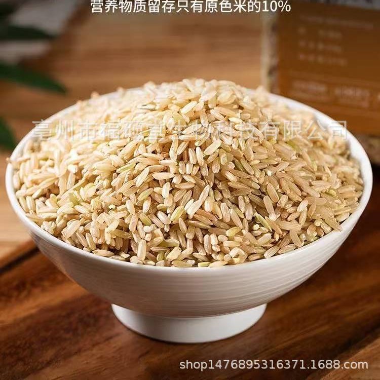 Japonica Rice (Oryza sativa) — Dried Food Grain for Congee & Daily Nourishment - Image 4