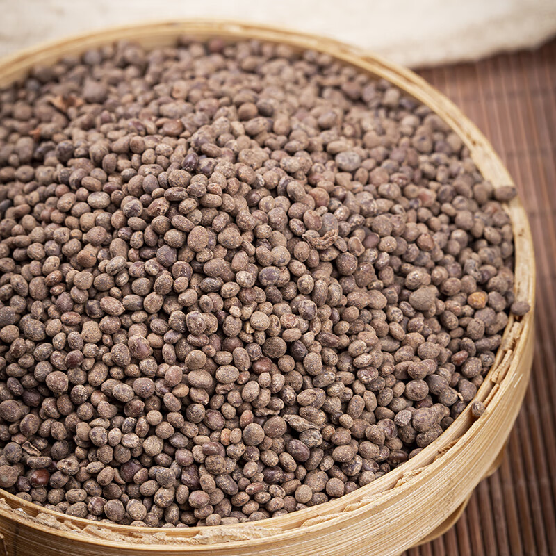 Garden Balsam Seed Ji Xing Zi 500g Dried Impatiens Balsamina Seeds Traditional Chinese Herb - Image 2