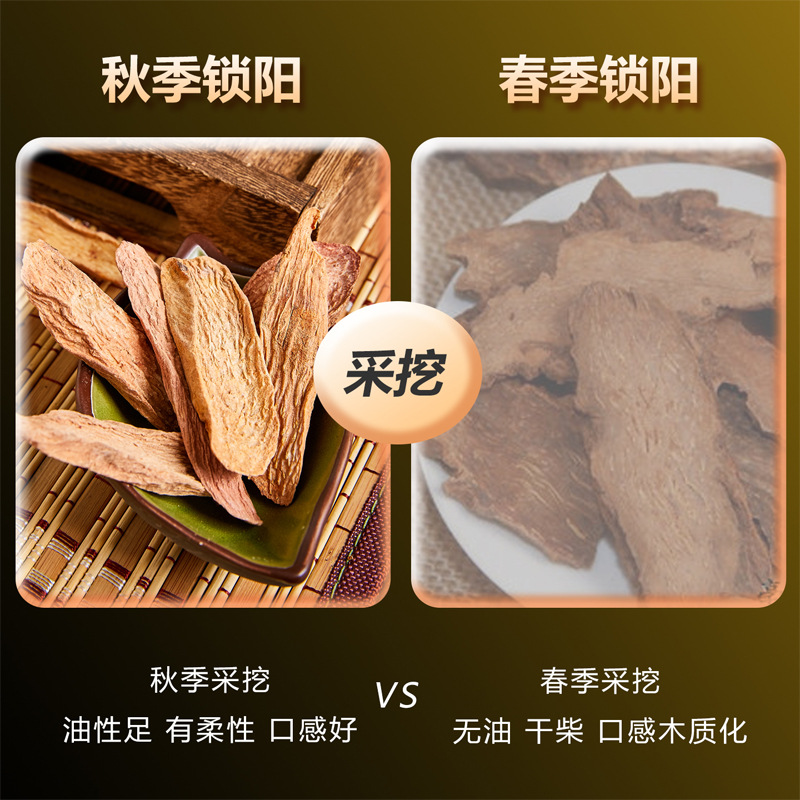 Alashan Cistanche Slices Suo Yang Dried Herbal Root for Soup and Congee 250g - Image 4