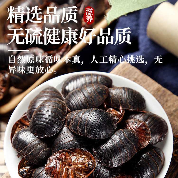 Tu Yuan Dried Ground Beetle 土元 Whole Insect TCM Herb 500g Traditional Decoction Ingredient - Image 4