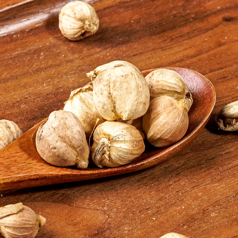 Cardamom & Nutmeg (Dou Kou / Rou Dou Kou) — Dried Aromatic Spice Herbs, 500g - Image 3