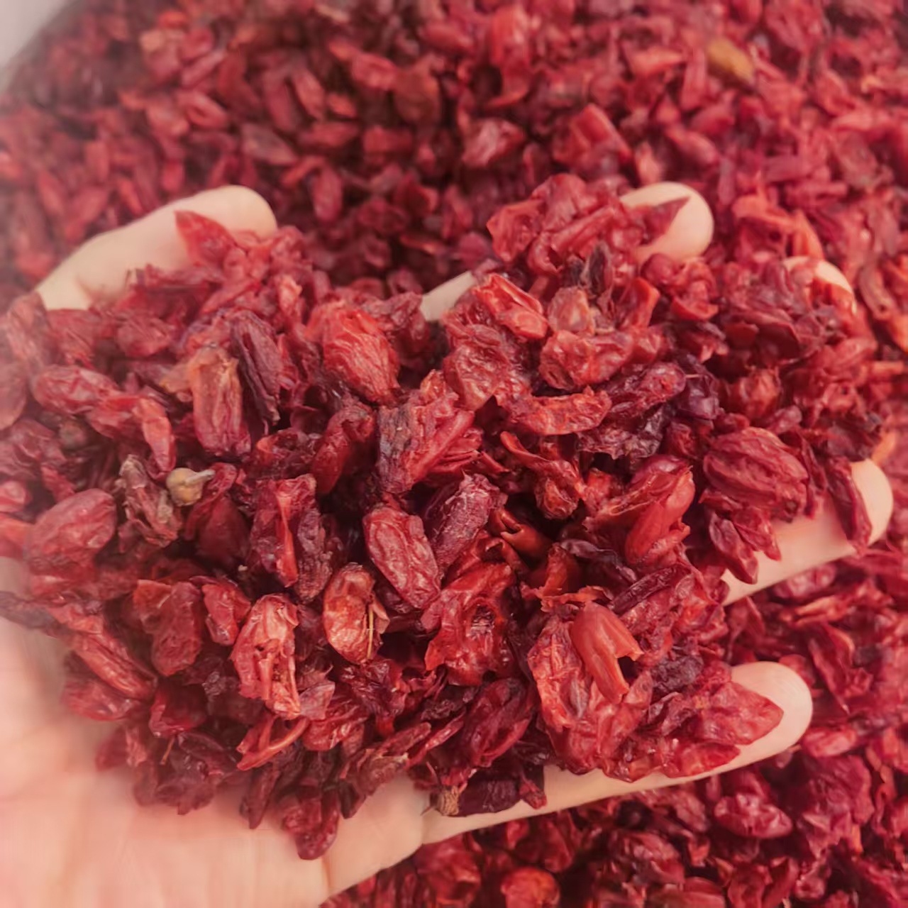 Cornus Fruit Shan Zhu Yu 山茱萸 Dried Herb 500g Traditional TCM Decoction Herb - Image 4