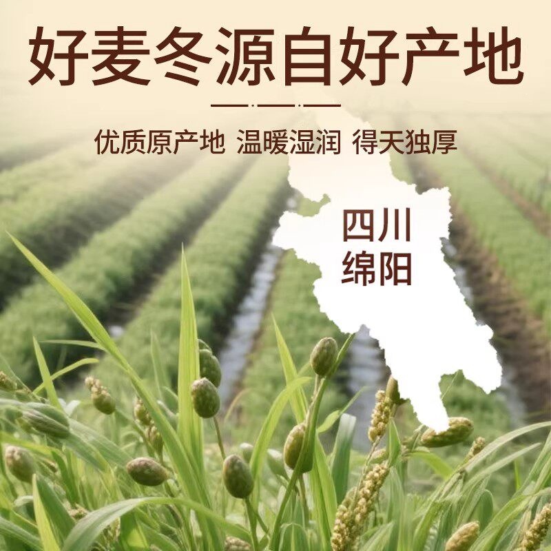 Premium Mai Dong Ophiopogon Root 500g Sichuan Dried Herb for Tea and Decoction - Image 2