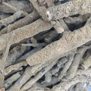 Zi Xiao Hua (Spongilla fragilis) — Dried Freshwater Sponge Herb, 500g Culinary Grade