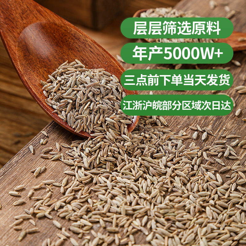 Cumin Seeds (Cuminum cyminum) — Dried Whole Spice for BBQ & Culinary Blends - Image 3
