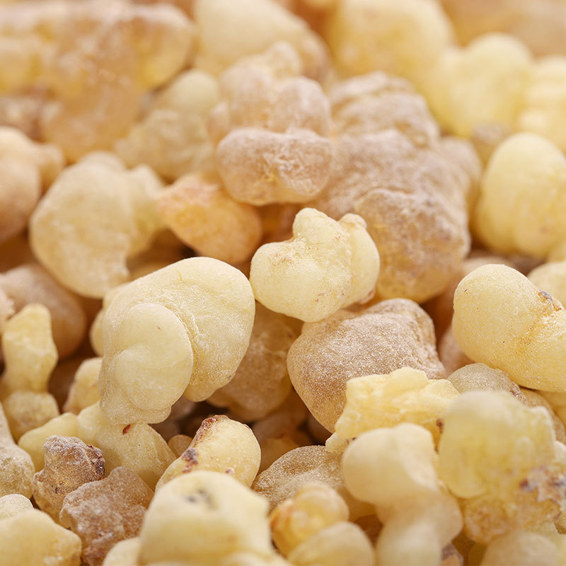 Frankincense Resin (Boswellia carterii) — Vinegar-Processed Ru Xiang Herbal Powder, 500g - Image 4