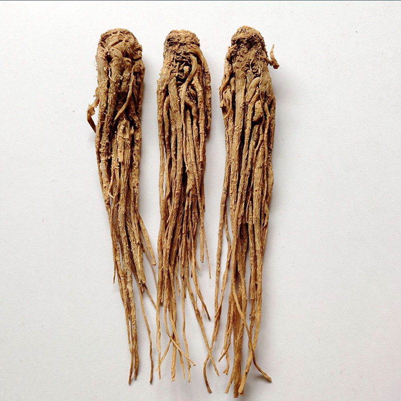 Dang Gui Slices (Angelica sinensis) — Gansu Minxian Dried Root Slices for Soup & Decoction - Image 4