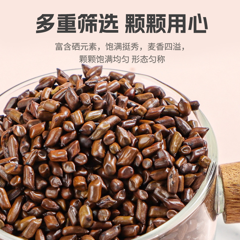 Roasted Cassia Seed Jue Ming Zi 500g Dried Cassia Seed for Herbal Tea Blends and Daily Wellness Use - Image 3
