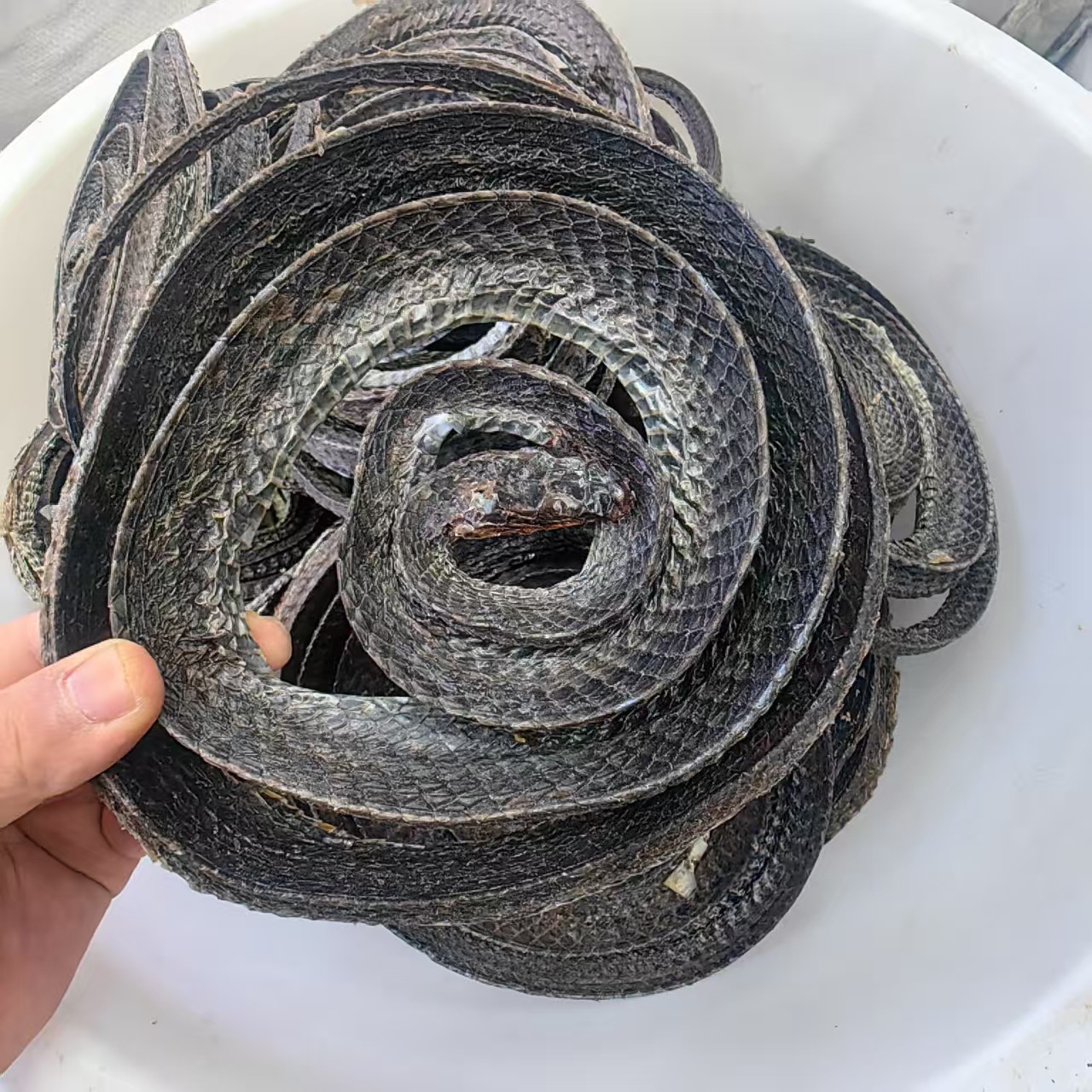 Dried Wu Shao Snake Wu Shao She Whole Snake Sichuan Origin Traditional Herbal Ingredient 250g - Image 2