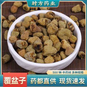 Raspberry Fruit (Rubus idaeus) — Dried Food Herb for Tea & Tonic, Wild-Harvested