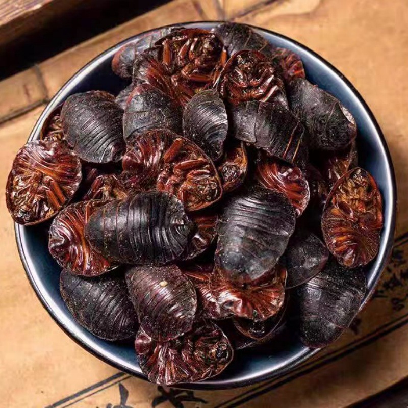 Tu Yuan (Eupolyphaga sinensis) — Dried Ground Beetle Herb, 500g Food-Grade - Image 2